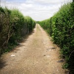 The Allotment Road